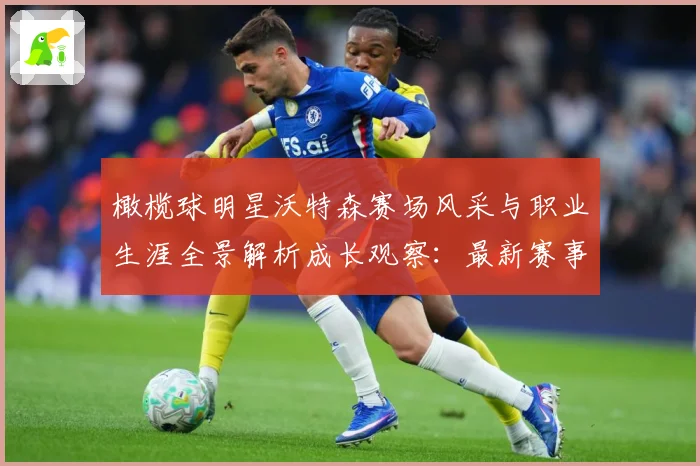 橄榄球明星沃特森赛场风采与职业生涯全景解析成长观察：最新赛事动态与深度分析